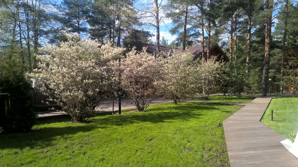 Сад в Завидово