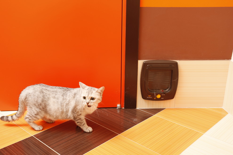 Квартира для молодой семьи