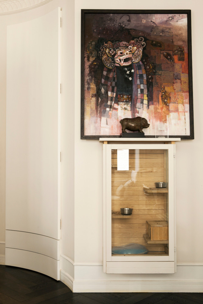 Нестандартные животные в стандартной квартире