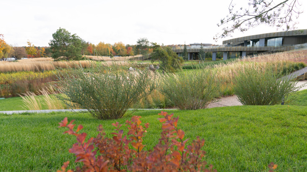 Природный сад. Жуковка XXI век. 2017-2018 гг.