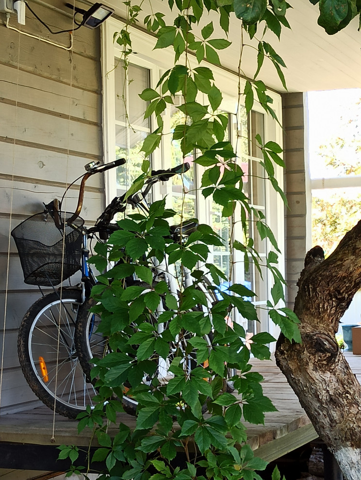 Ландшафт сада в 6 соток.