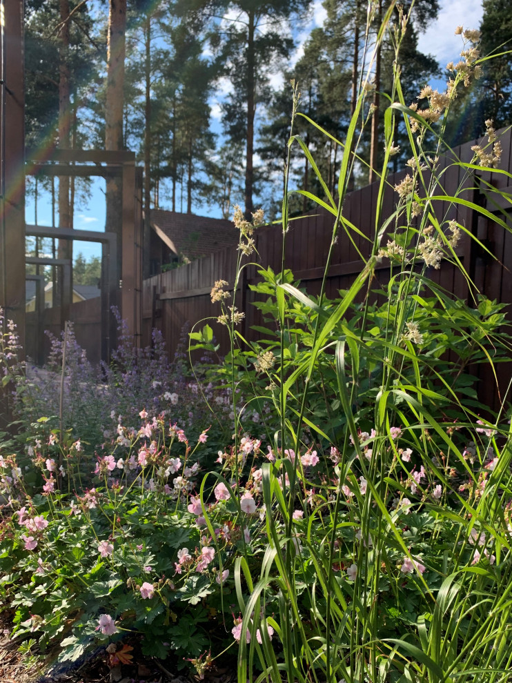 На солнечной поляне