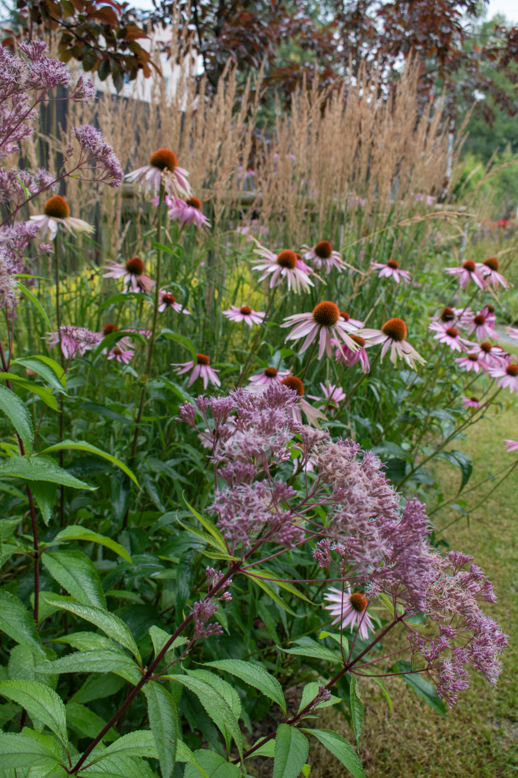 Реализация проекта частного участка в Репино