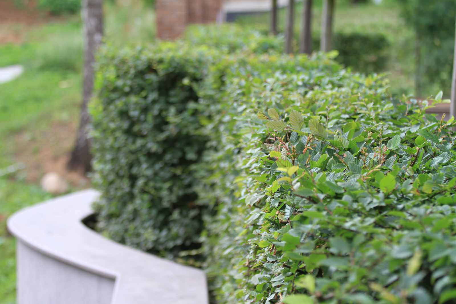 Сад четырех стихий