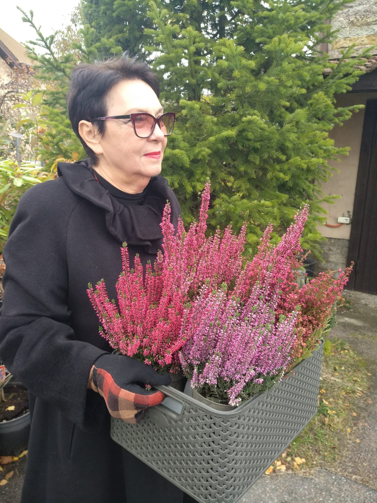 Обложка проекта: Питомник растений "ПРО вереск"