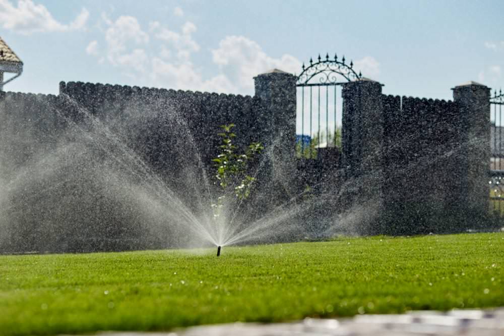 Обложка проекта: Сад в к.п. Сартаково Нижегородской области.