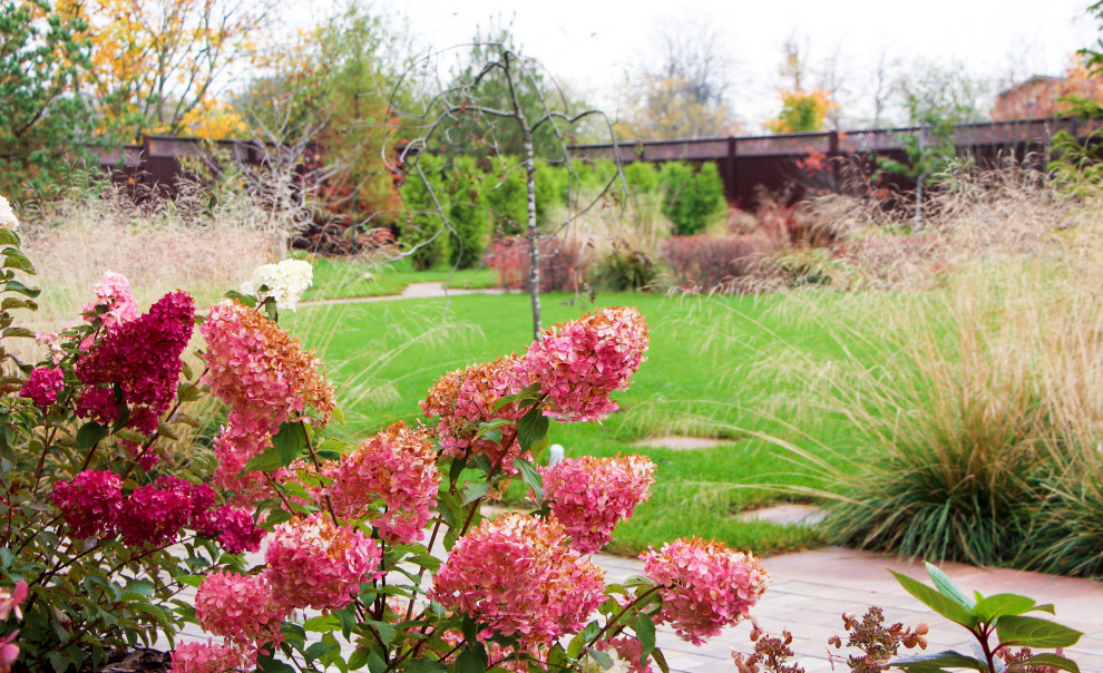 Петровское, 2018-2020 гг.