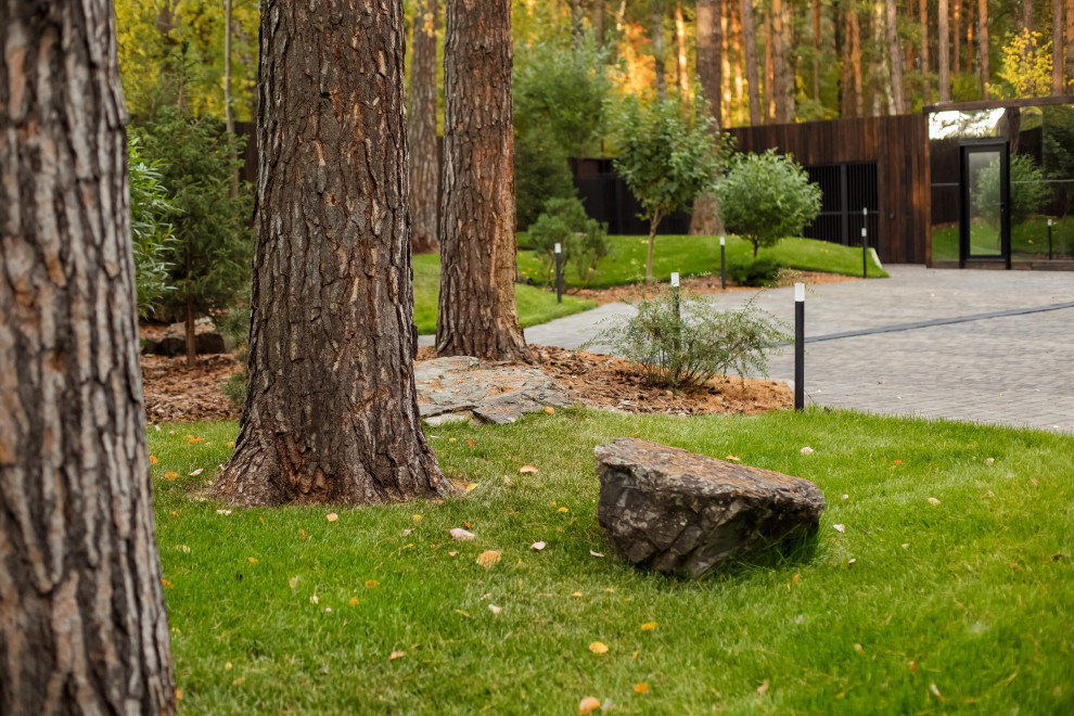 Ландшафт. Лесная погулка