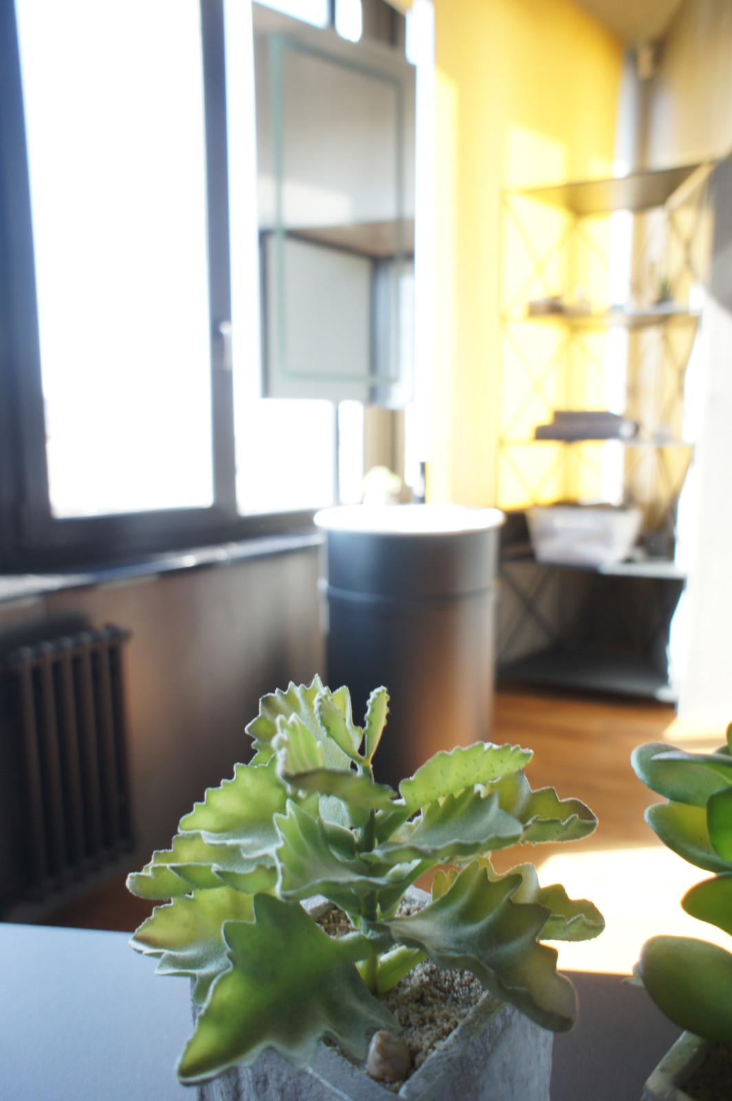 ВДВОЁМ С КОТОМ