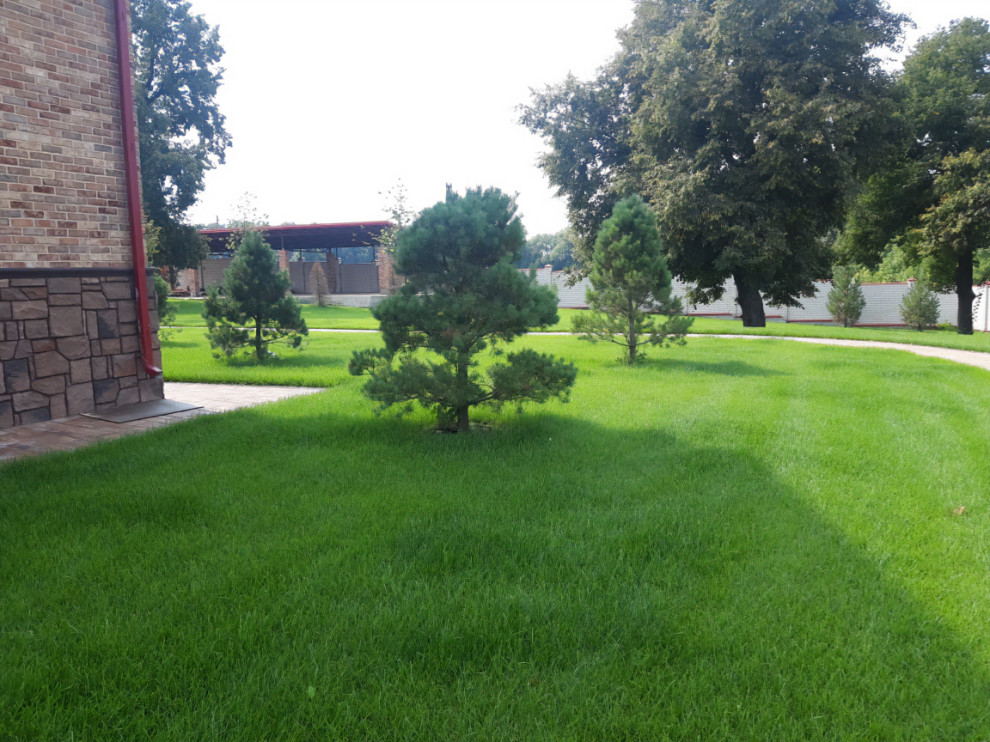 Landscape design of the territory (Moscow region 2022)