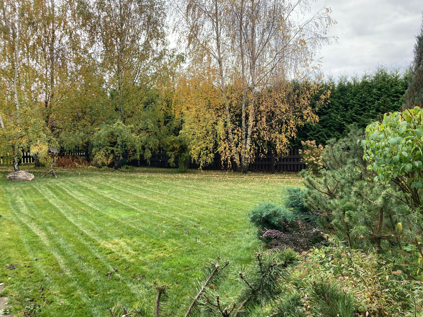 Ландшафтный проект 6