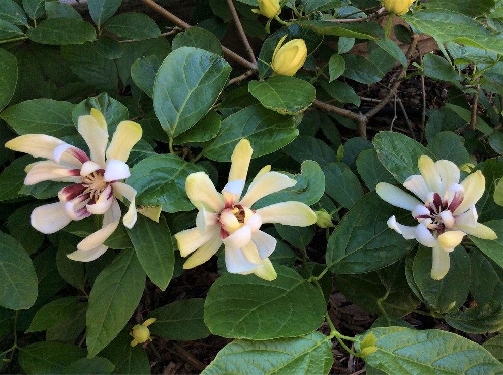 СНЫ О ЧЕМ_ТО БОЛЬШЕМ...