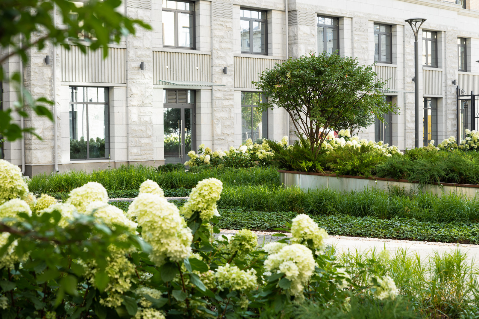 Северная корона