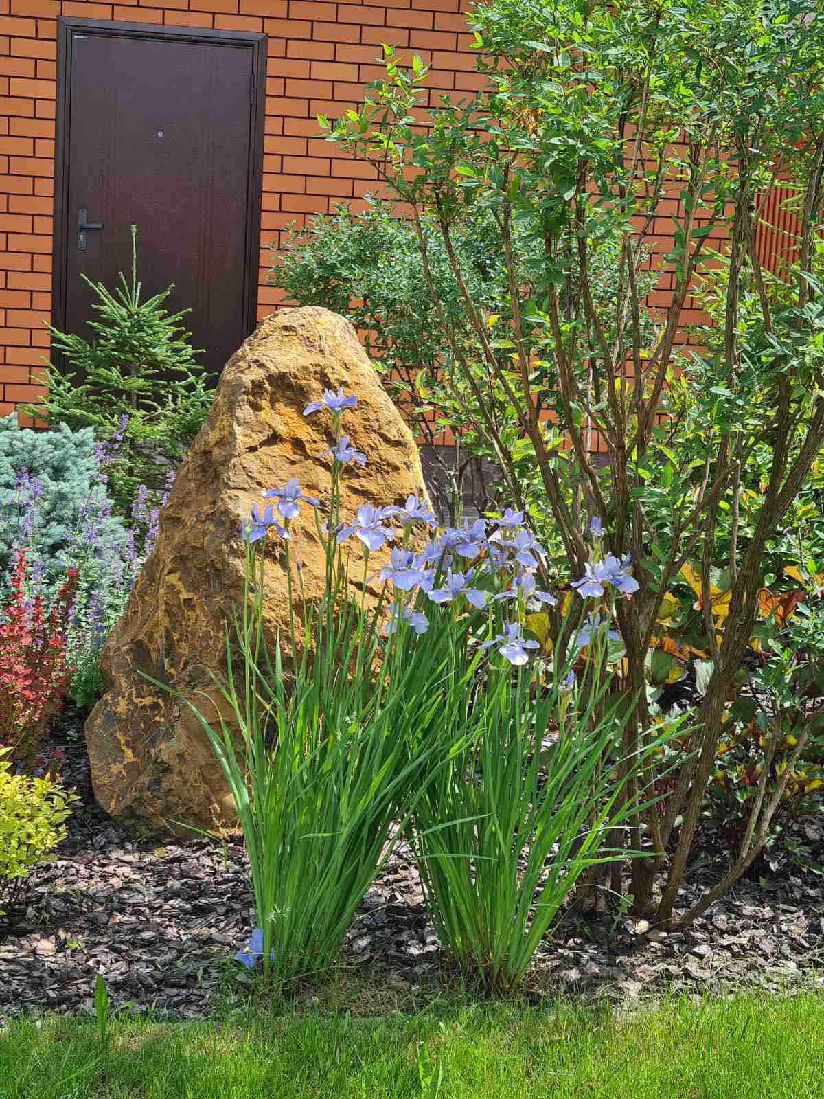 Роман с камнем