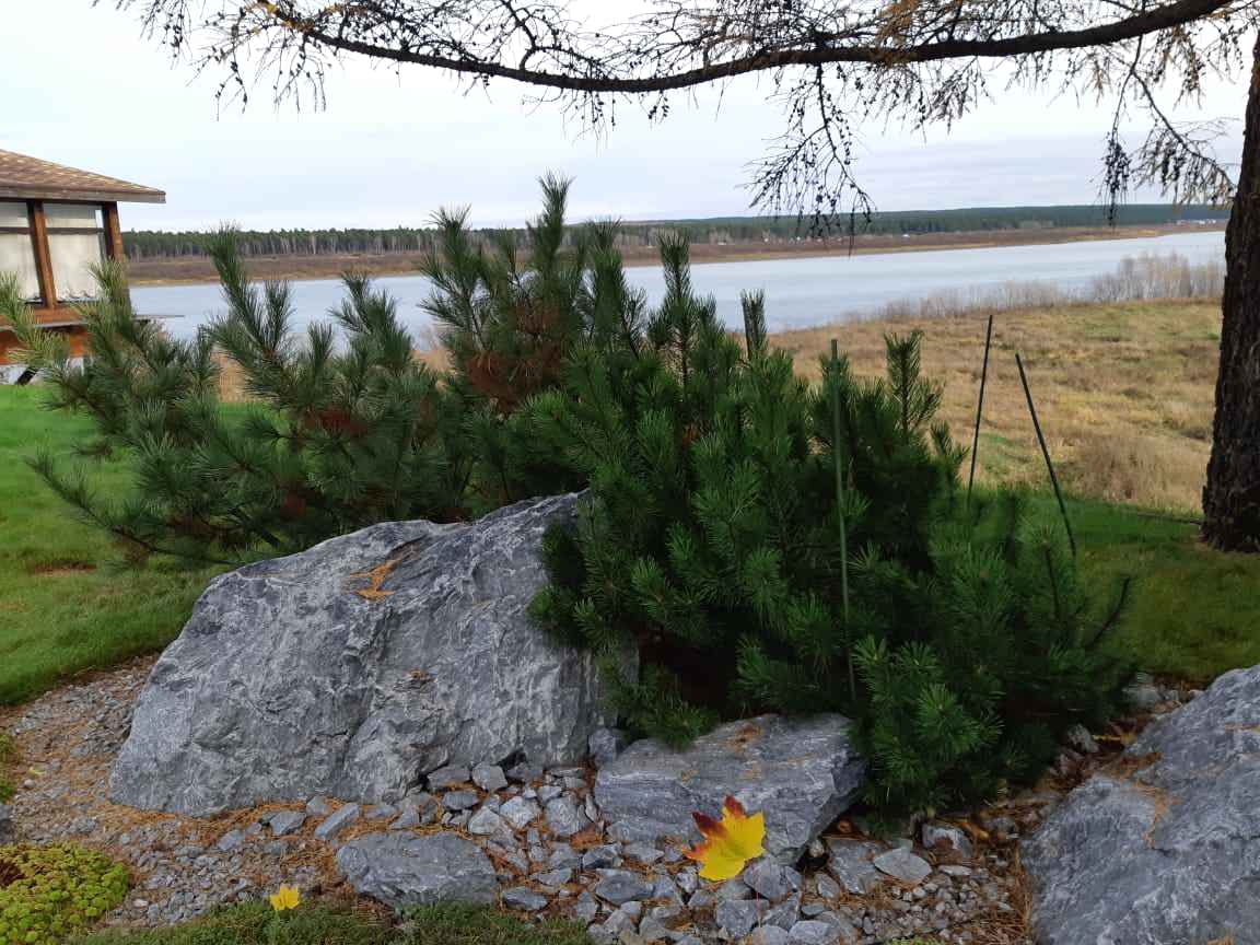 Медведково