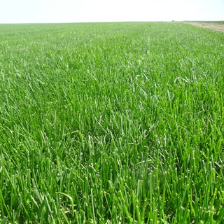 Иван Кудрин