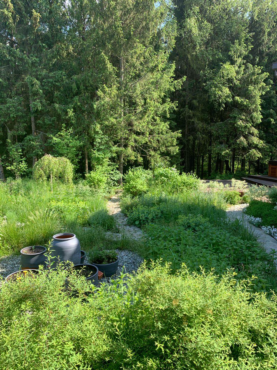 Обложка проекта: «Васнецовская Сиринъ»