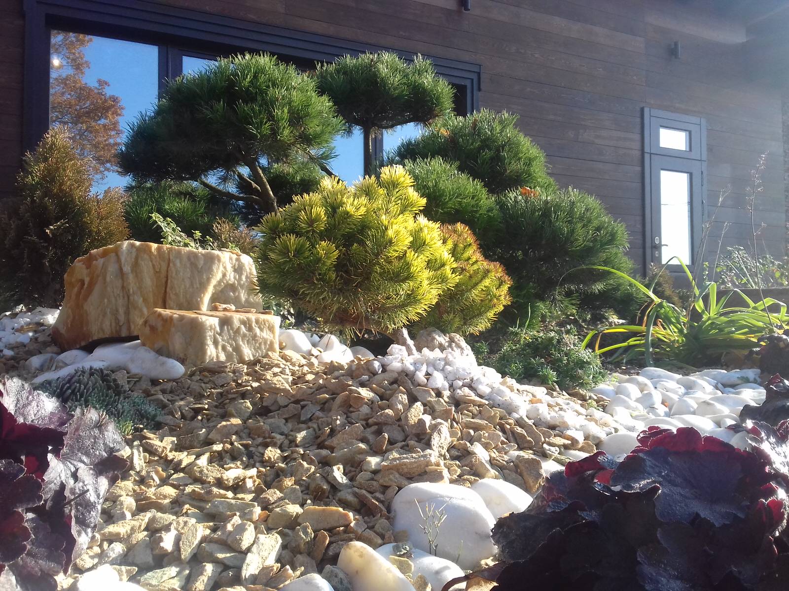 Дизайн клумбы с бонсаем