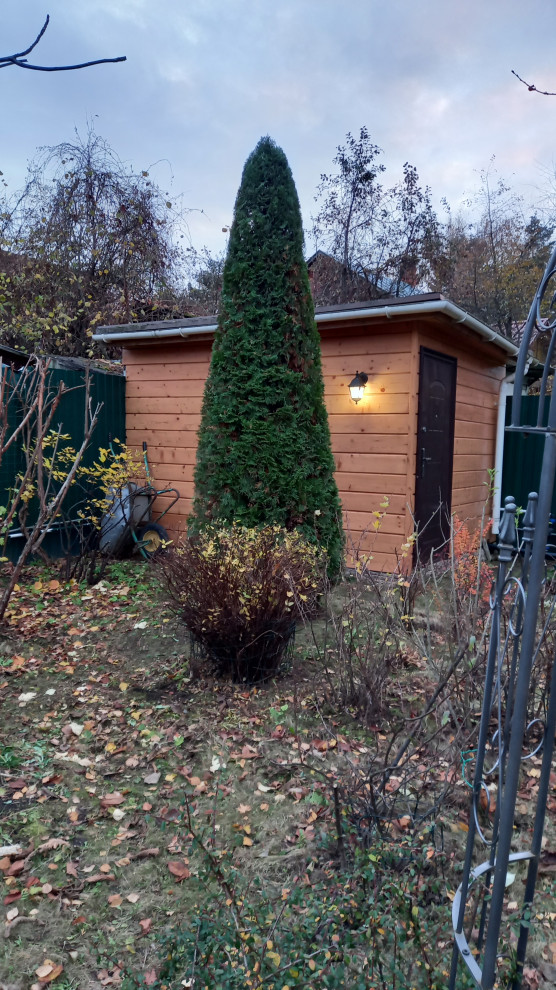 Обложка проекта: уход за розами