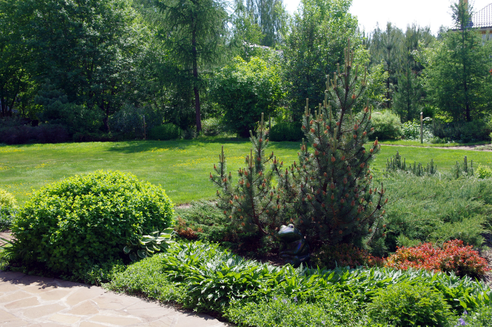 Обложка проекта: Подмосковный  коттеджный сад