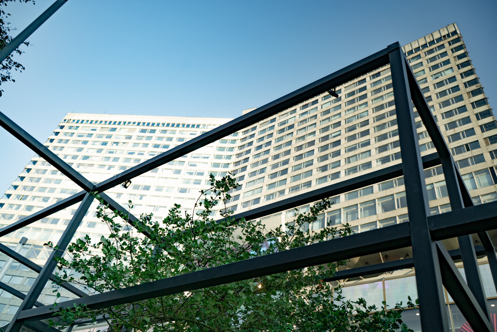 Архитектура природы