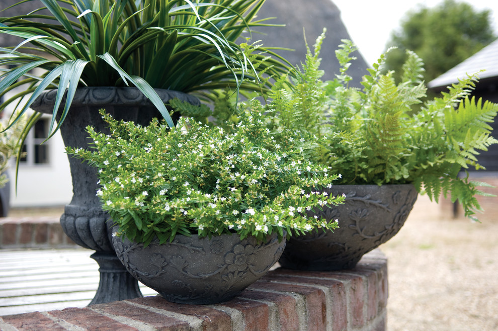 Сад в стиле прованс