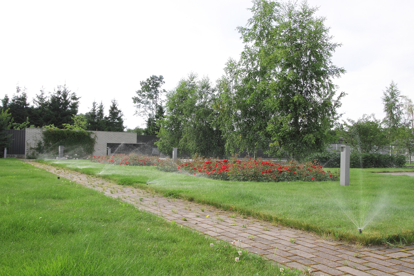 Пос. Лисий нос