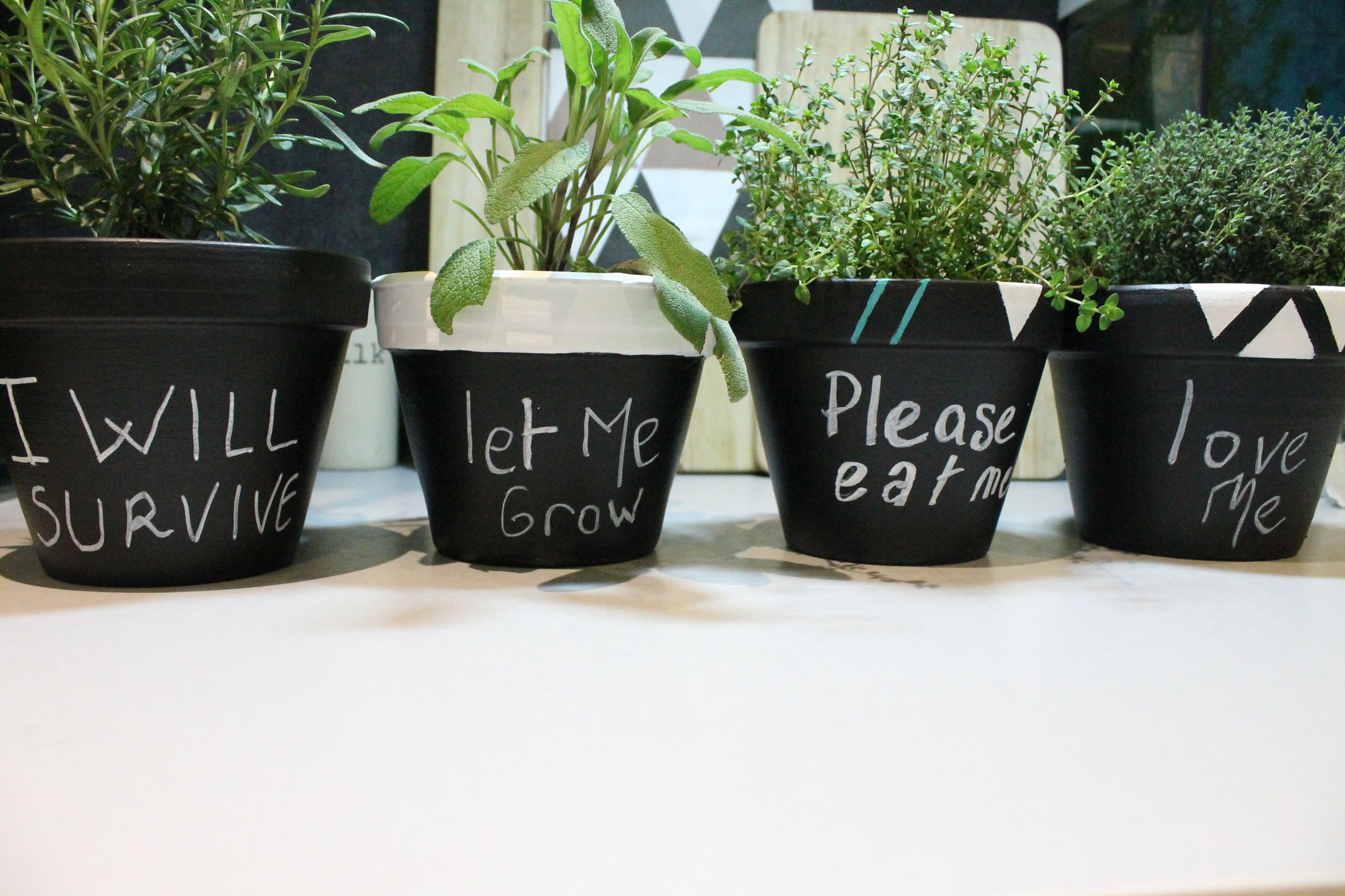 Цветы на подоконнике: 12 идей, как расставить их по правилам декора