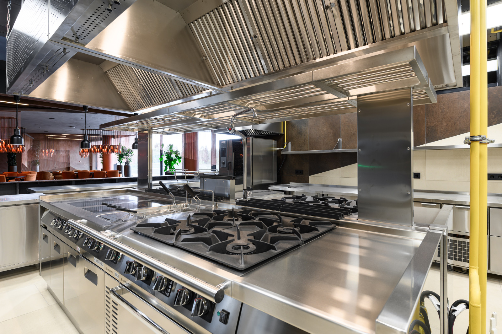 ФИЗКУЛЬТУРНО-ОЗДОРОВИТЕЛЬНЫЙ КОМПЛЕКС С КАТКОМ В ЛЕНИНГРАДСКОЙ ОБЛАСТИ