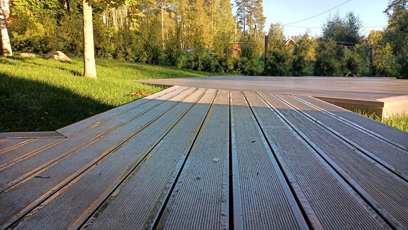 Лесная сказка в Мичуринском