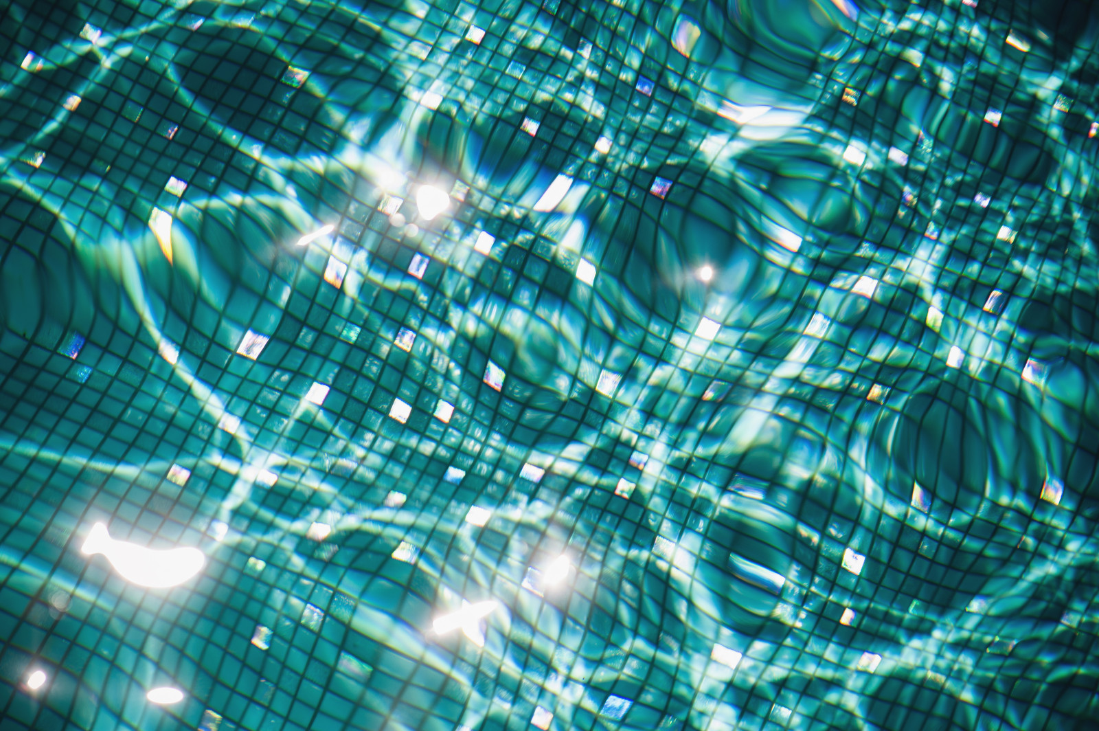 Готская, Севастополь