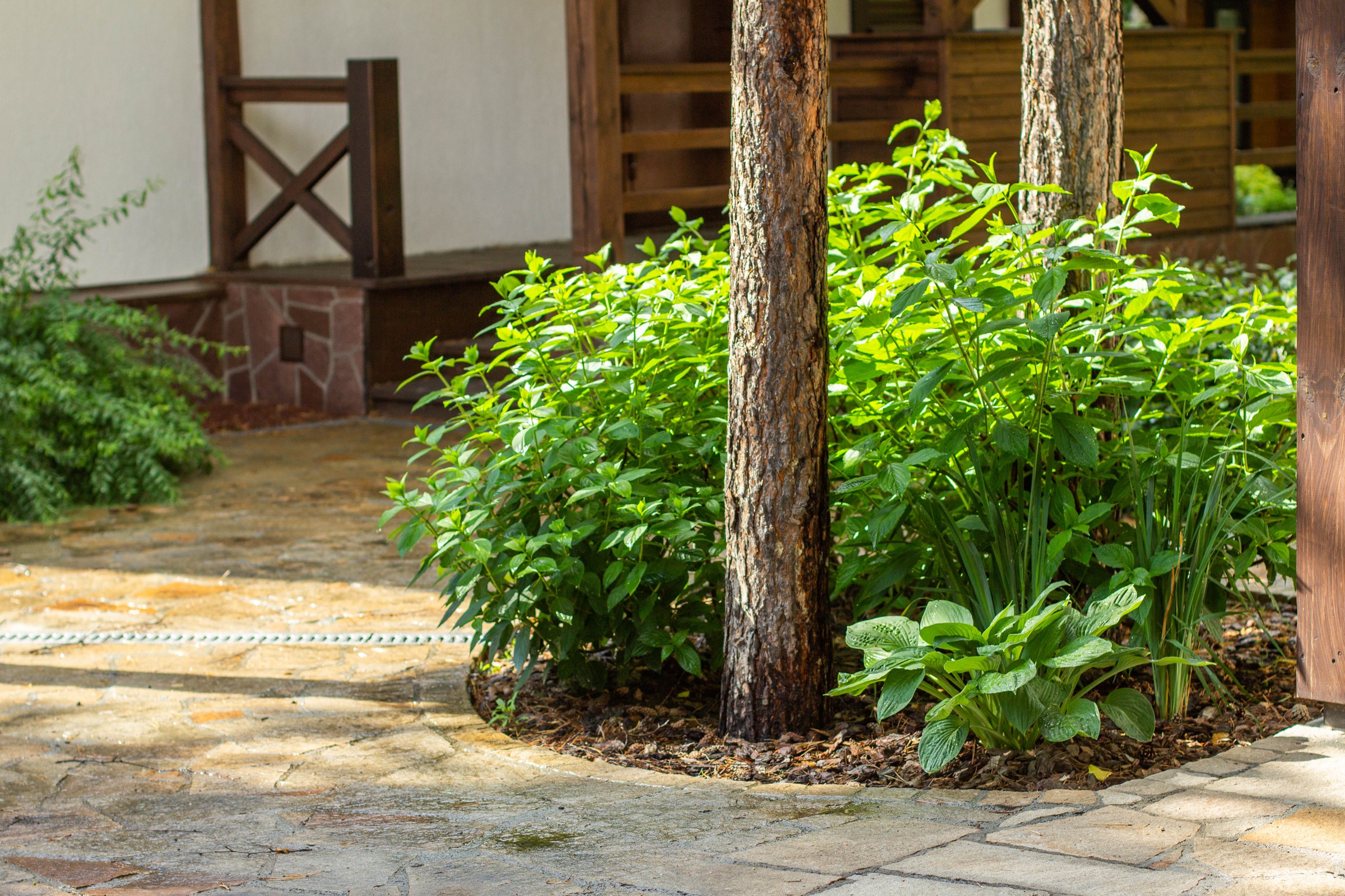 У леса на опушке