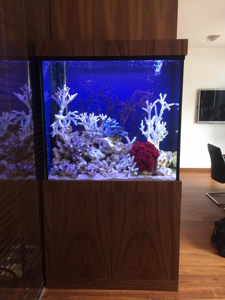 Уютный Аквариум