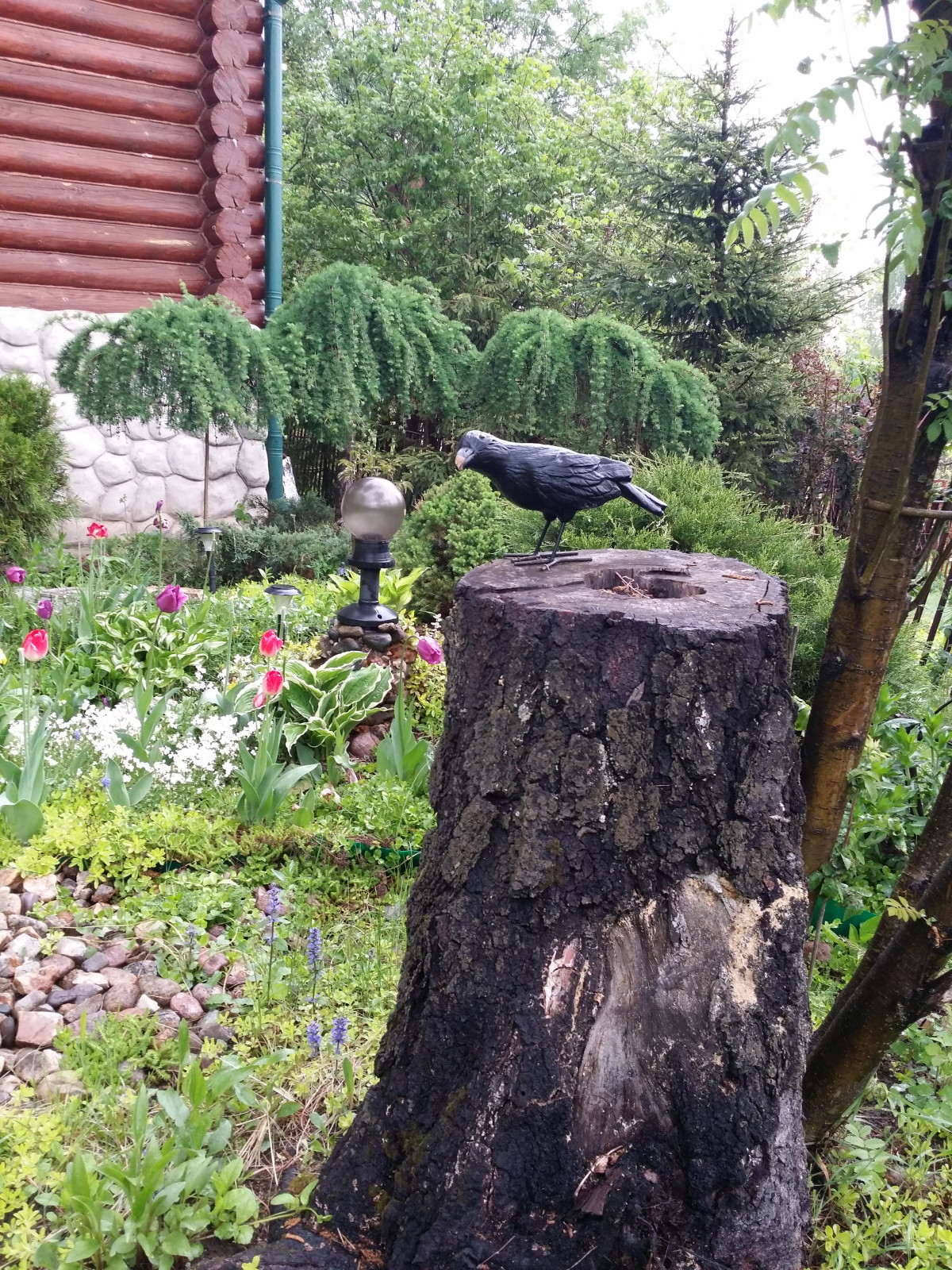 Вписываясь в природу