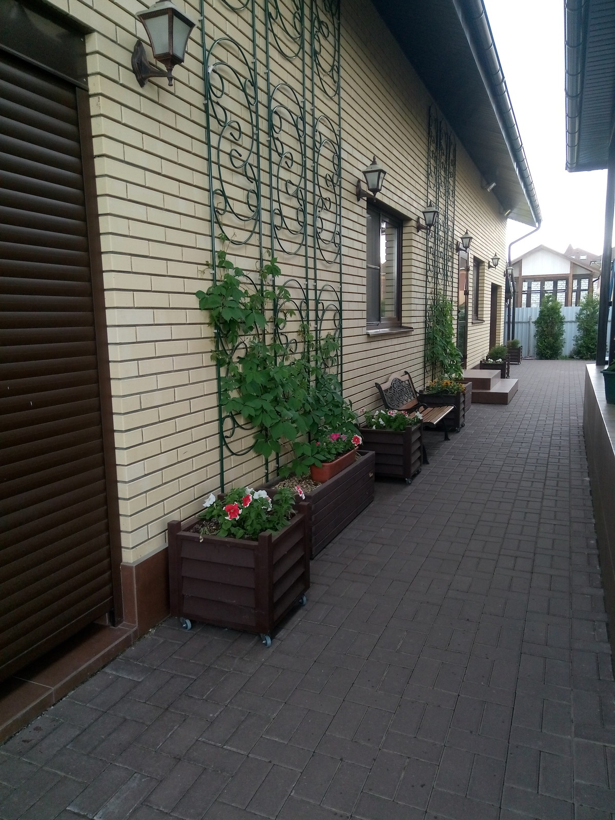 Зелёное удовольствие