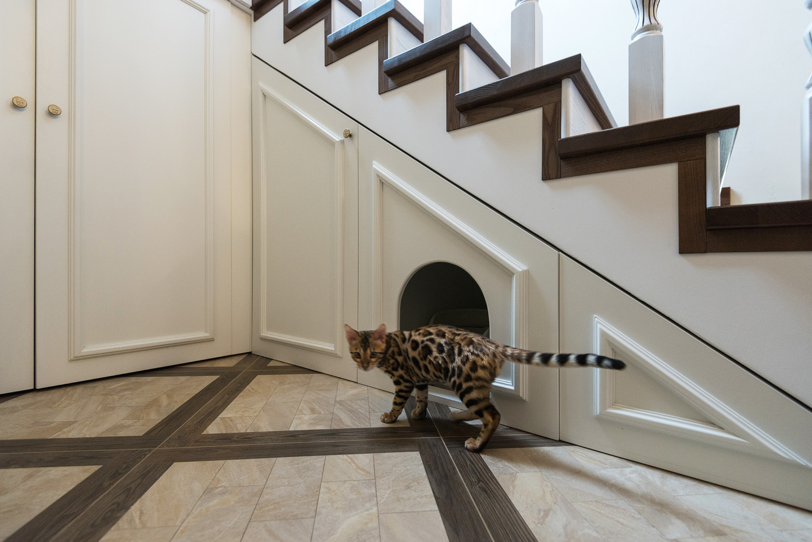 Обложка альбома: Плитка напольная Или Полы