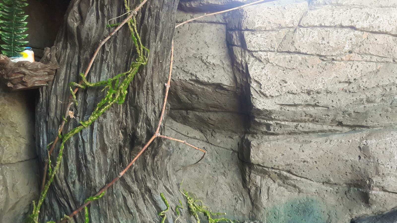 Искусственные скалы.