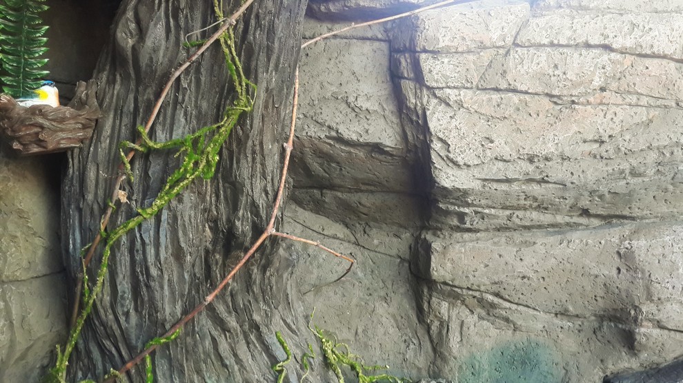 Искусственные скалы.