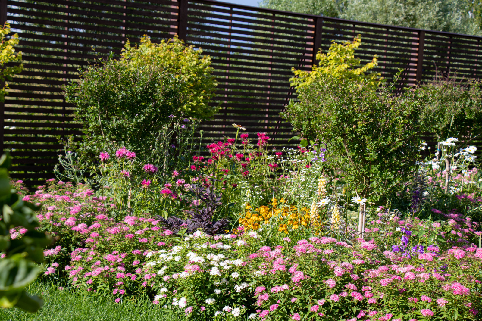 Сосновые берега