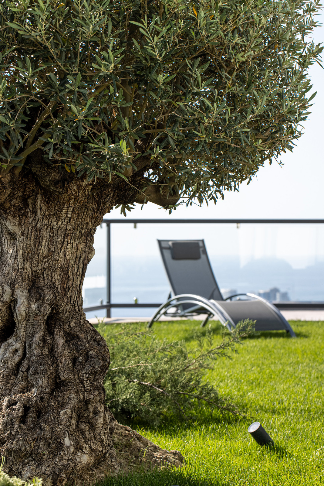 Проект озеленения частного дома, Сочи