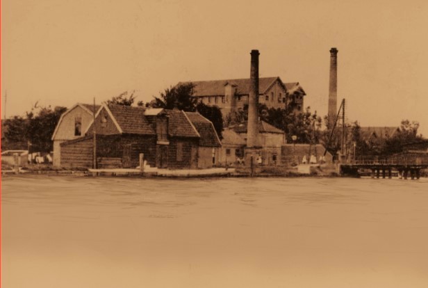 Портрет: Как делают мармолеум на фабрике в Нидерландах