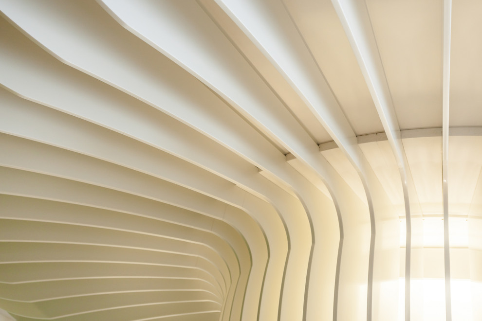 Антарес Древо жизни