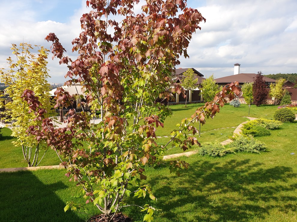 Проект участка с террасированием.