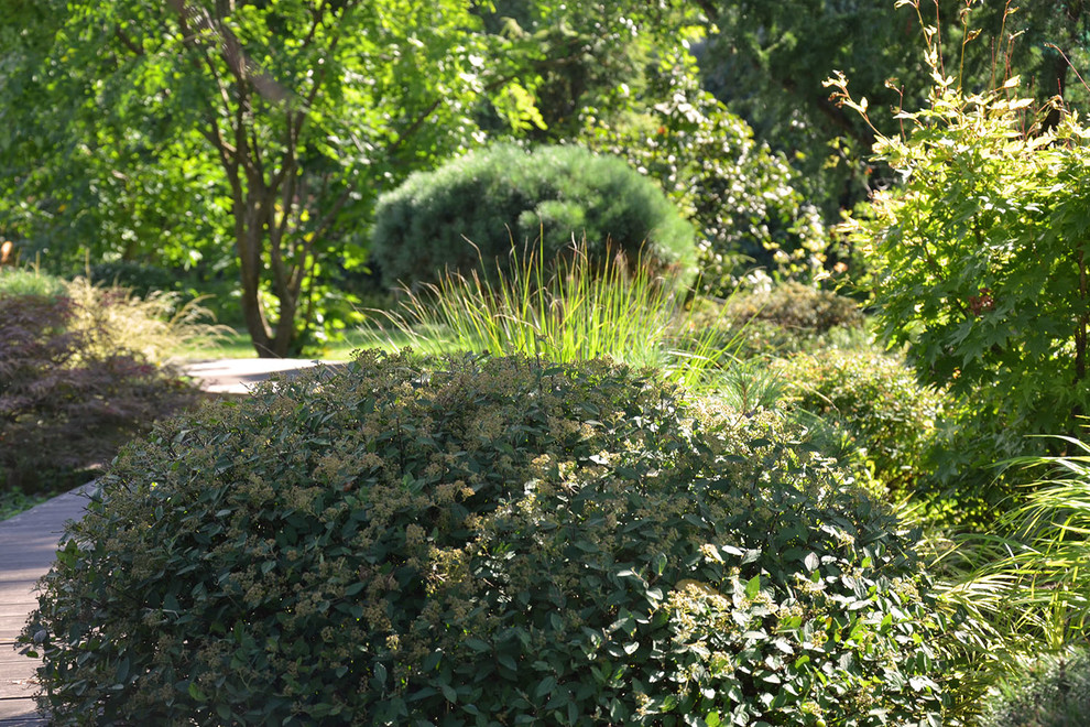 Ландшафтный сад с прудом в КП "Европа"