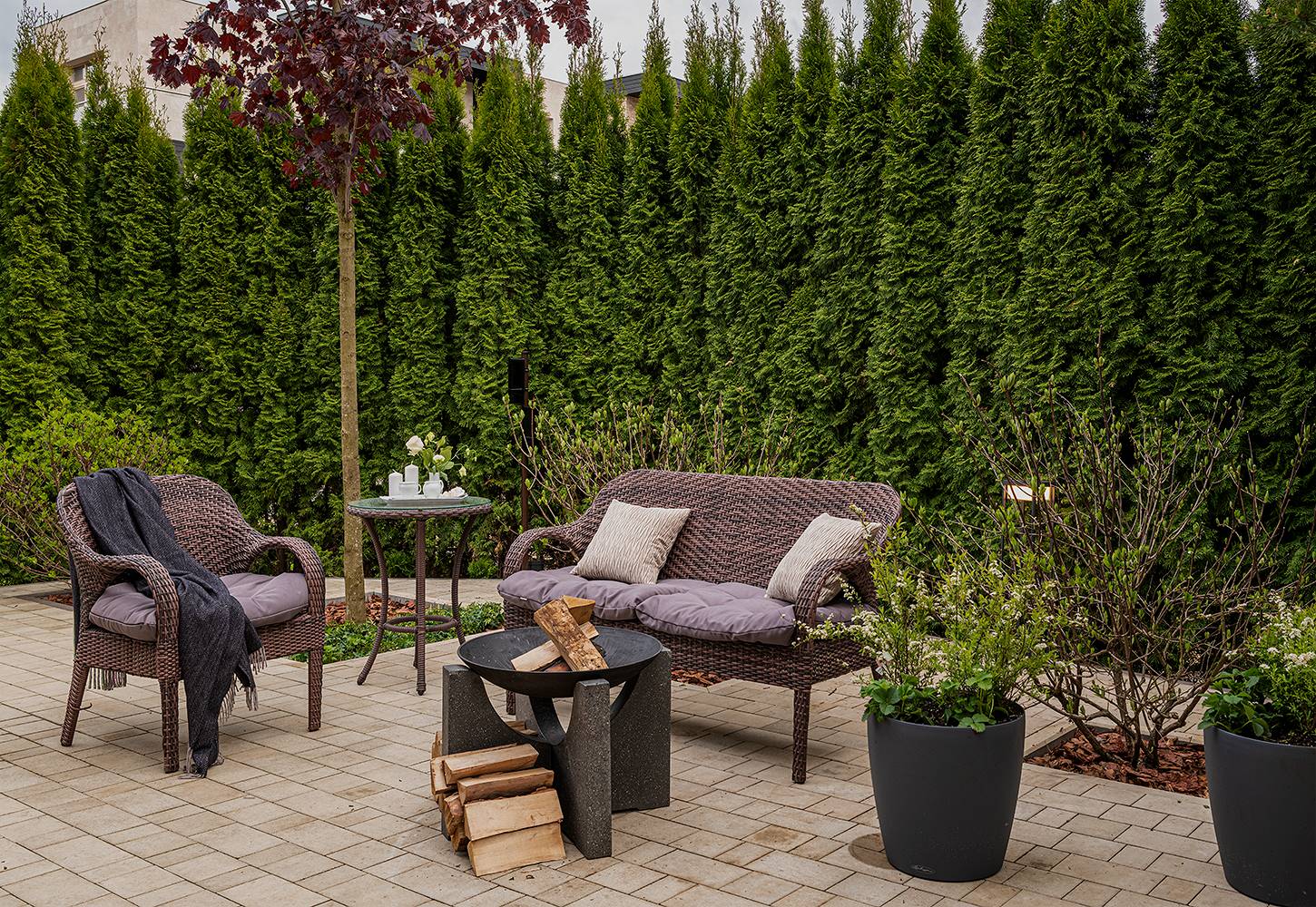 "На Дачу" к Татьяне Веденеевой