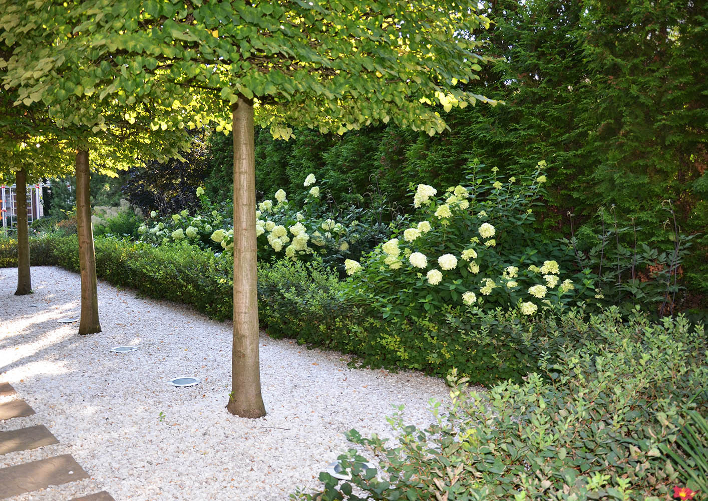 Современный сад в КП "Бенилюкс" вилла 2