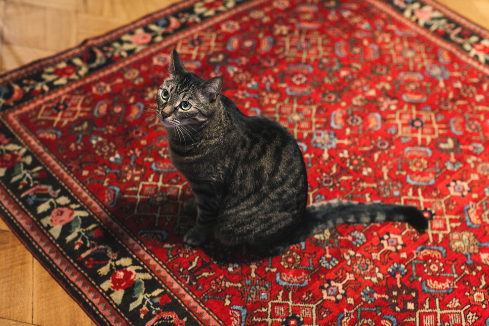 Дизайн-дебаты: тренды, которые идут на спад