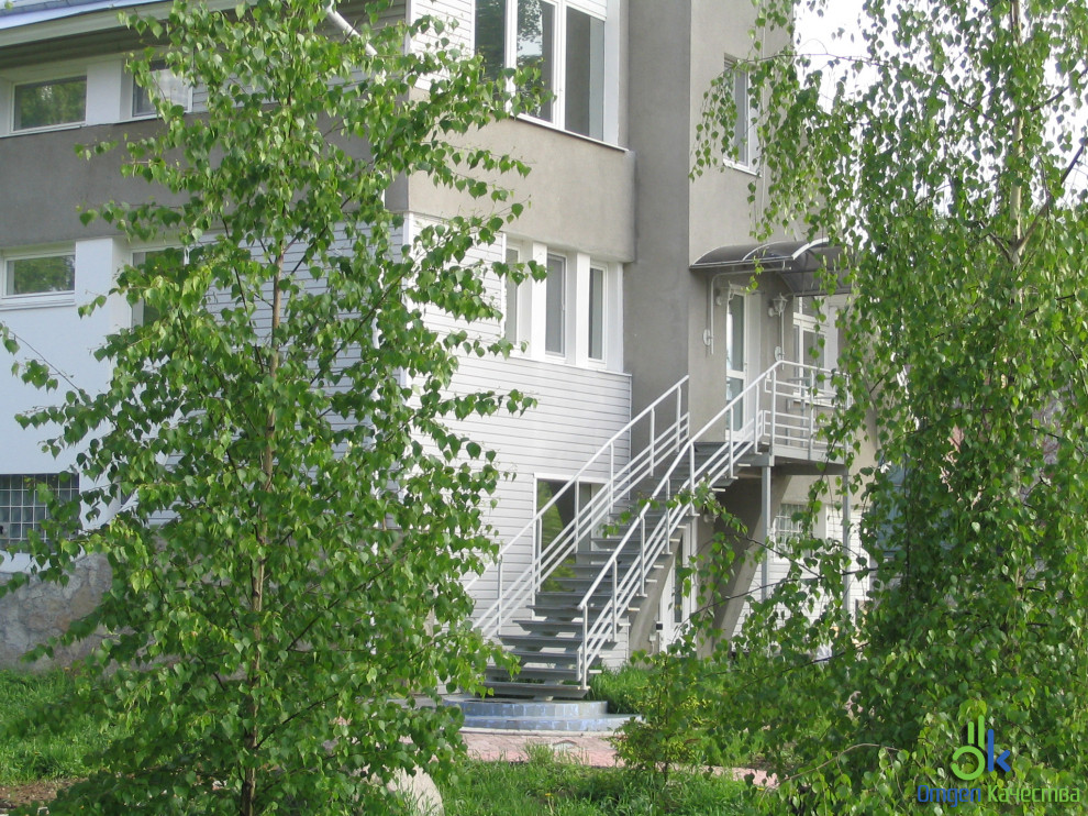 Дом в Павловске