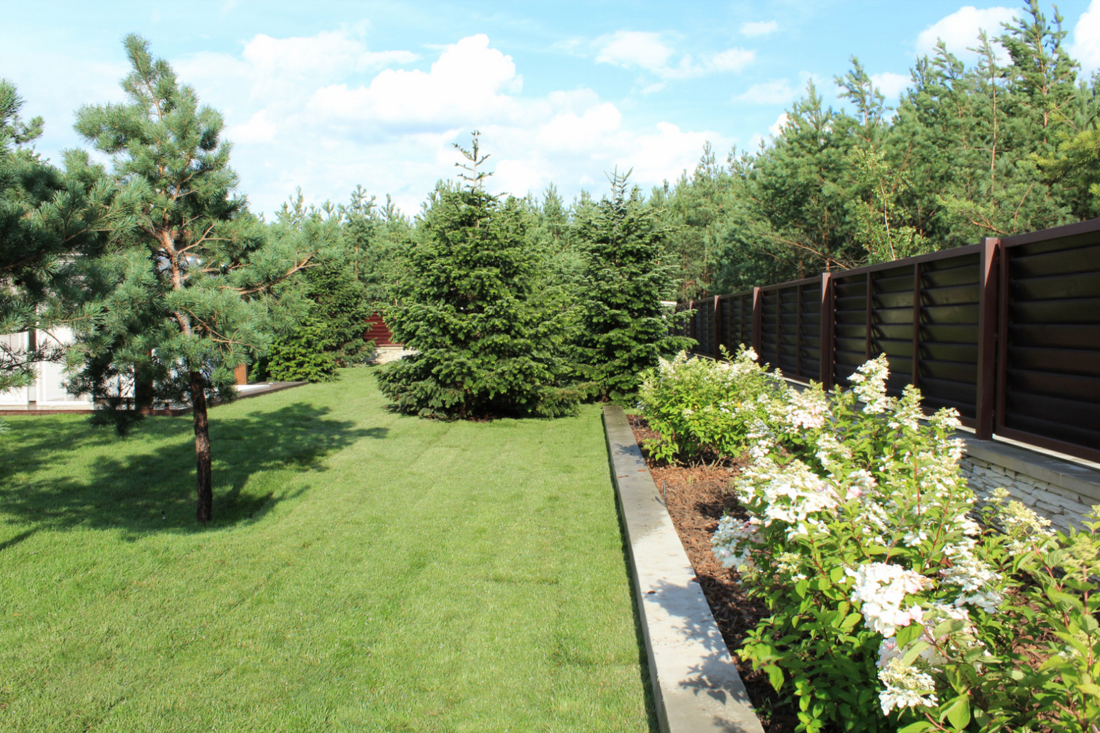 Черноголовка