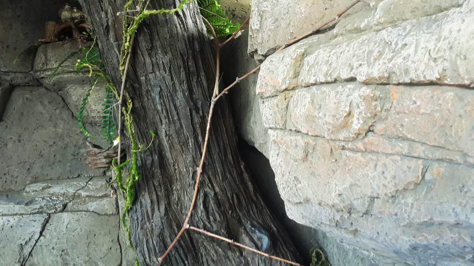 Искусственные скалы.